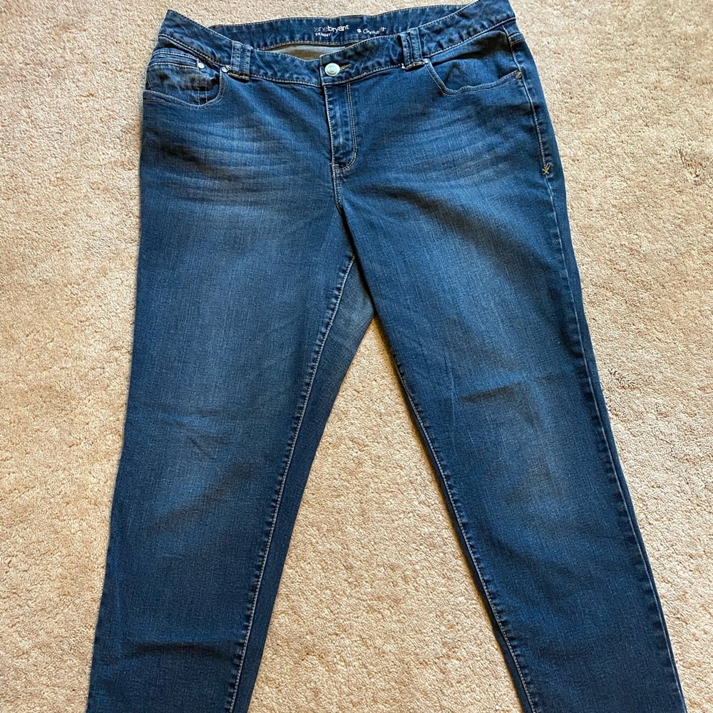 Lane Bryant Skinny Jeans Genius Fit Size 18 Regular